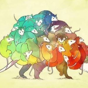 Meet your Posher, Sherry